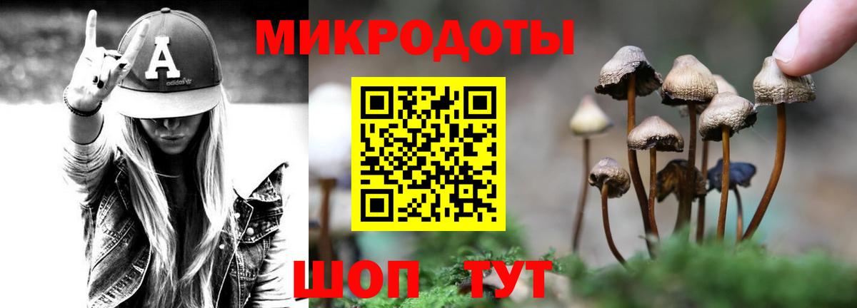 Ярославль  Псилоцибиновые грибы Cubensis  Вход с VPN 